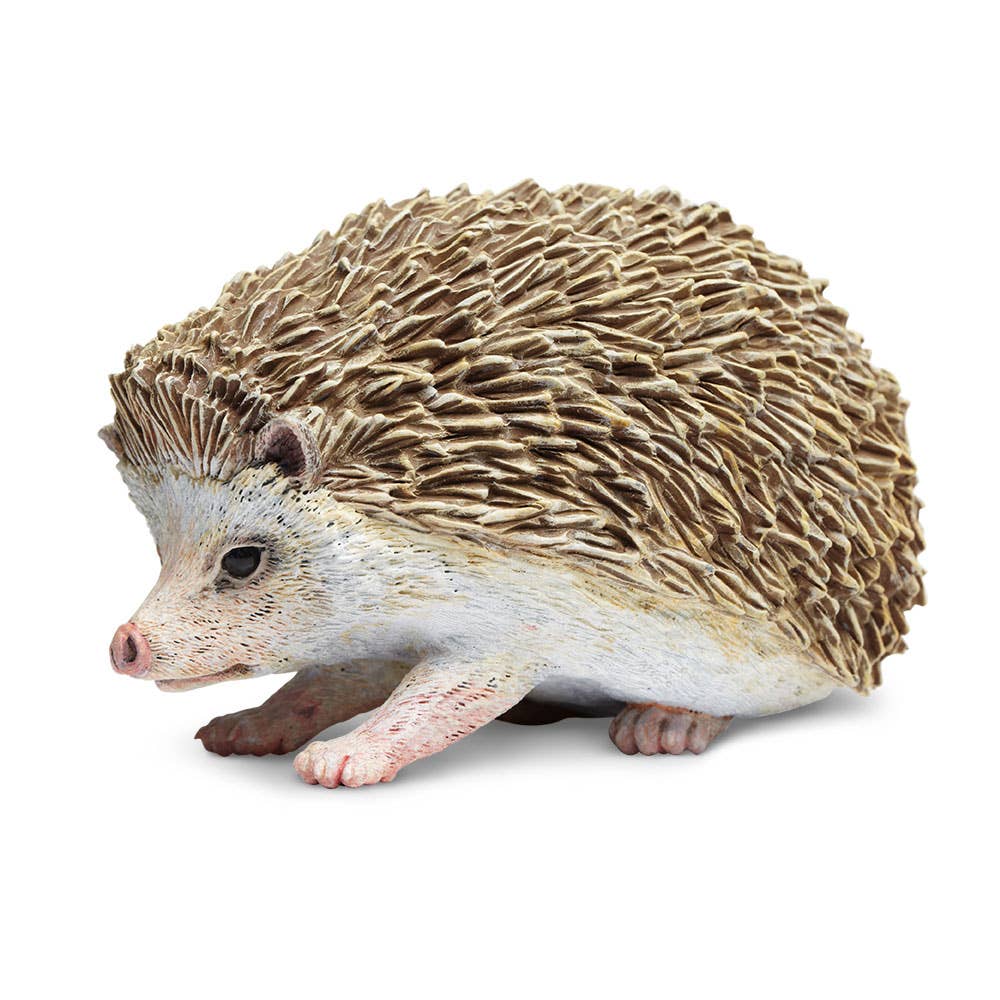 Hedgehog - 261129