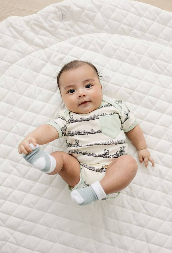 Organic Cotton Short Sleeve Bodysuit - Billie & Kid