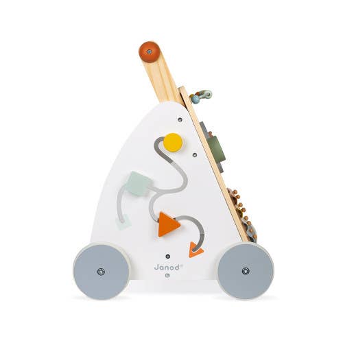 Sweet Cocoon - Multi Activity Baby Walker