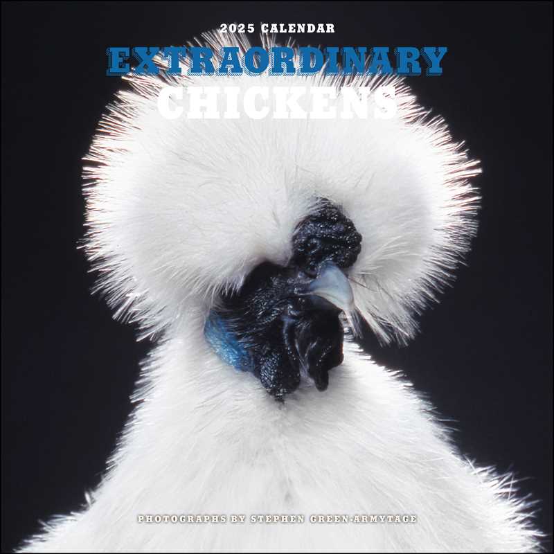 Extraordinary Chickens 2025 Wall Calendar by Stephen Green-Armytage