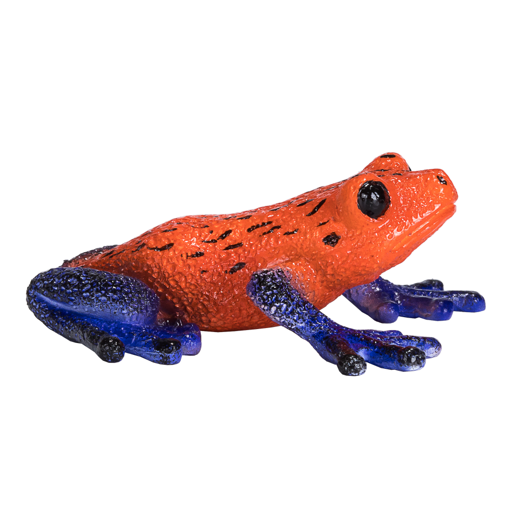 MOJO Poison Dart Tree Frog