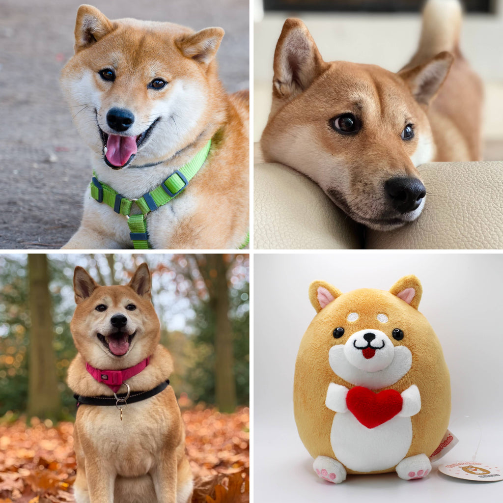 Shiba Inu Plush Toy - Brown