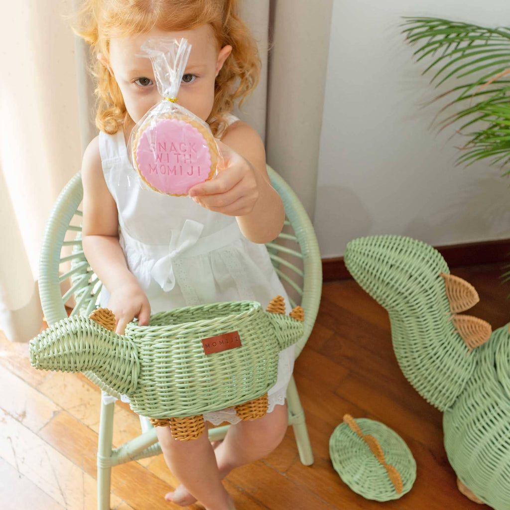 Handcrafted - Dinosaur Basket Small - Rattan Wicker