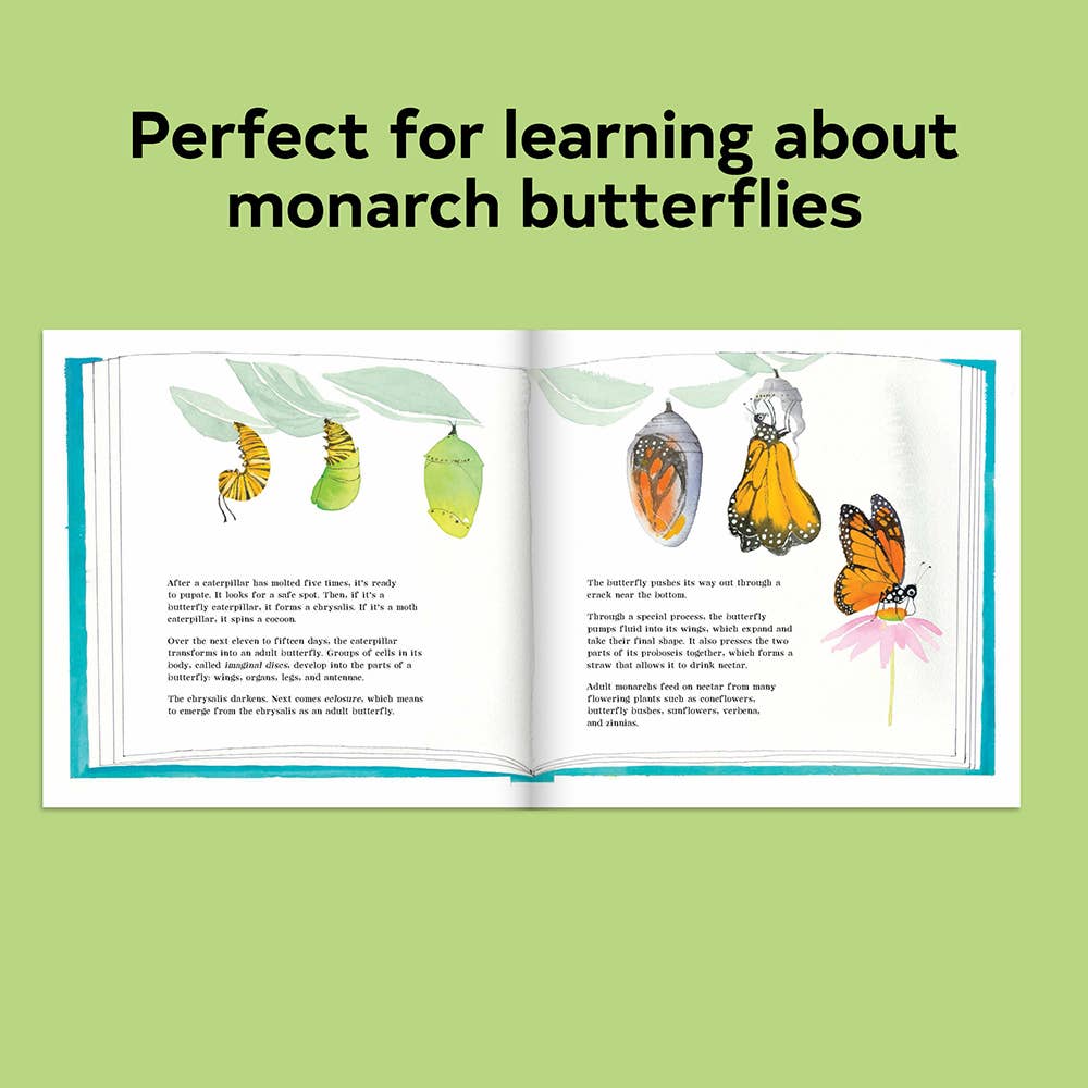 Butterflies Belong Here