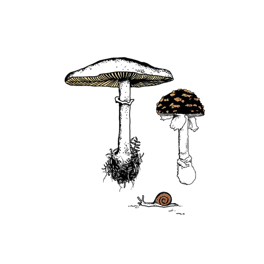 Fungi Garden Trio Tattoo