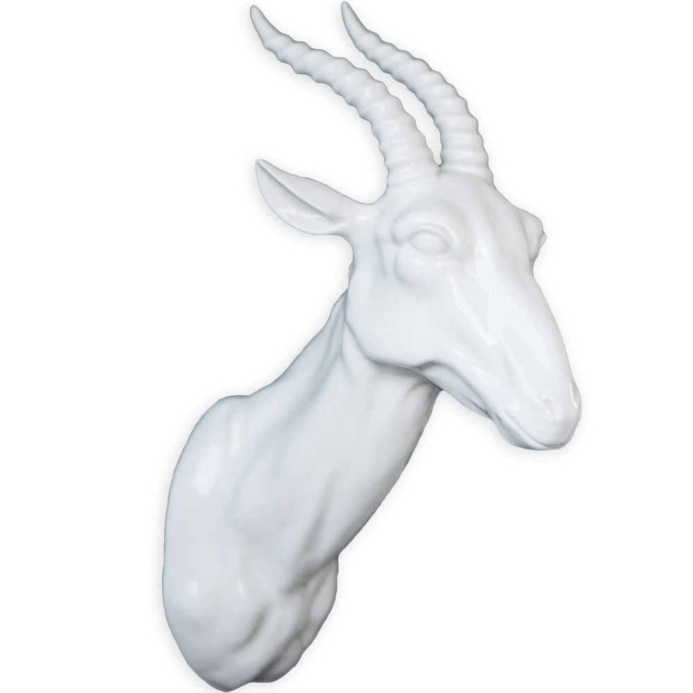 Trophy Head Gazelle