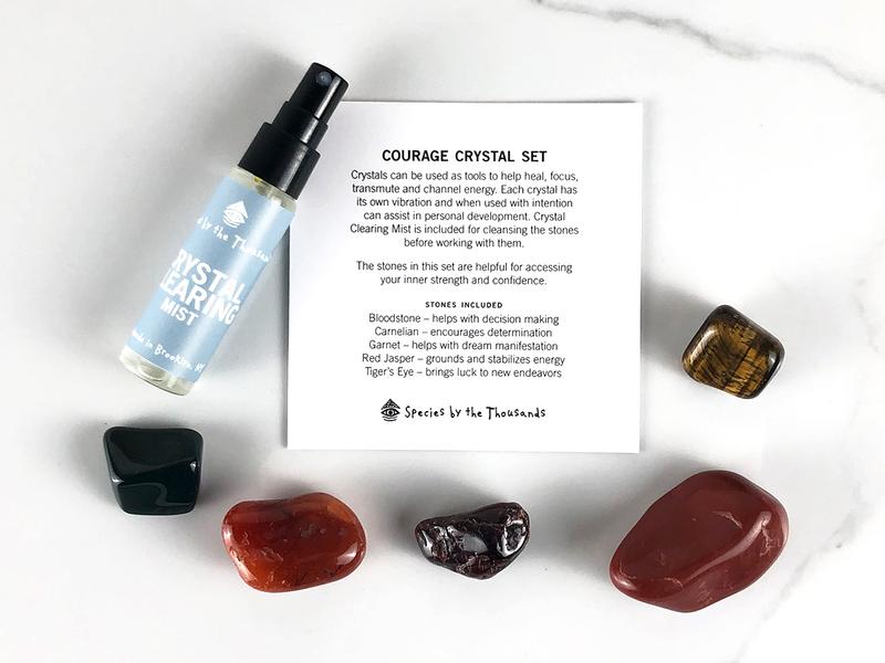 Crystal Set Courage