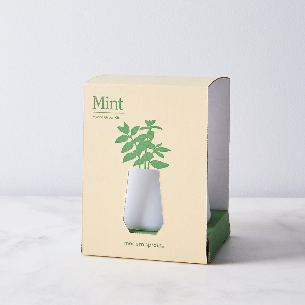 Hydro Grow Kit Mint
