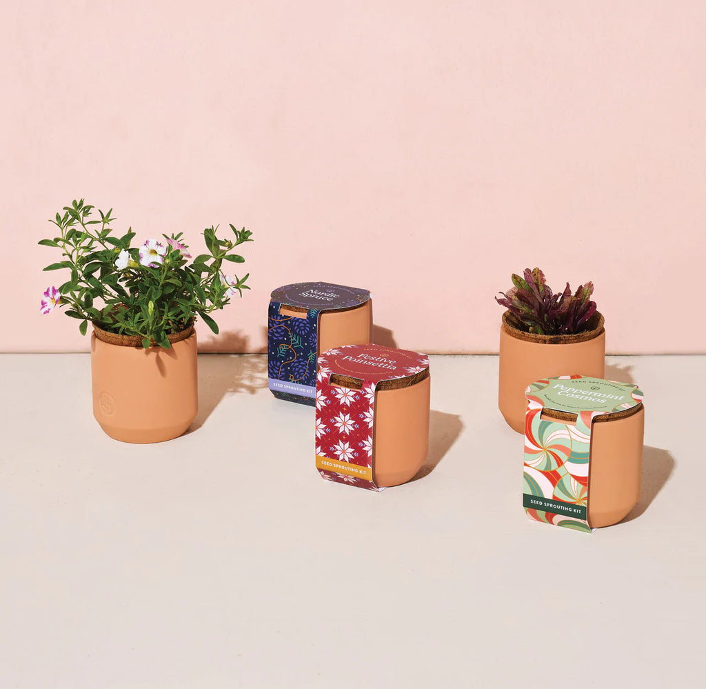Tiny Terracotta Grow Kits