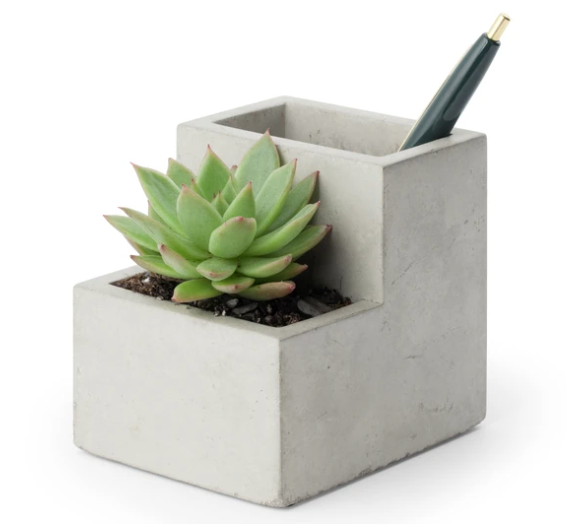 Small Desk Planter / Pen Holder Concrete