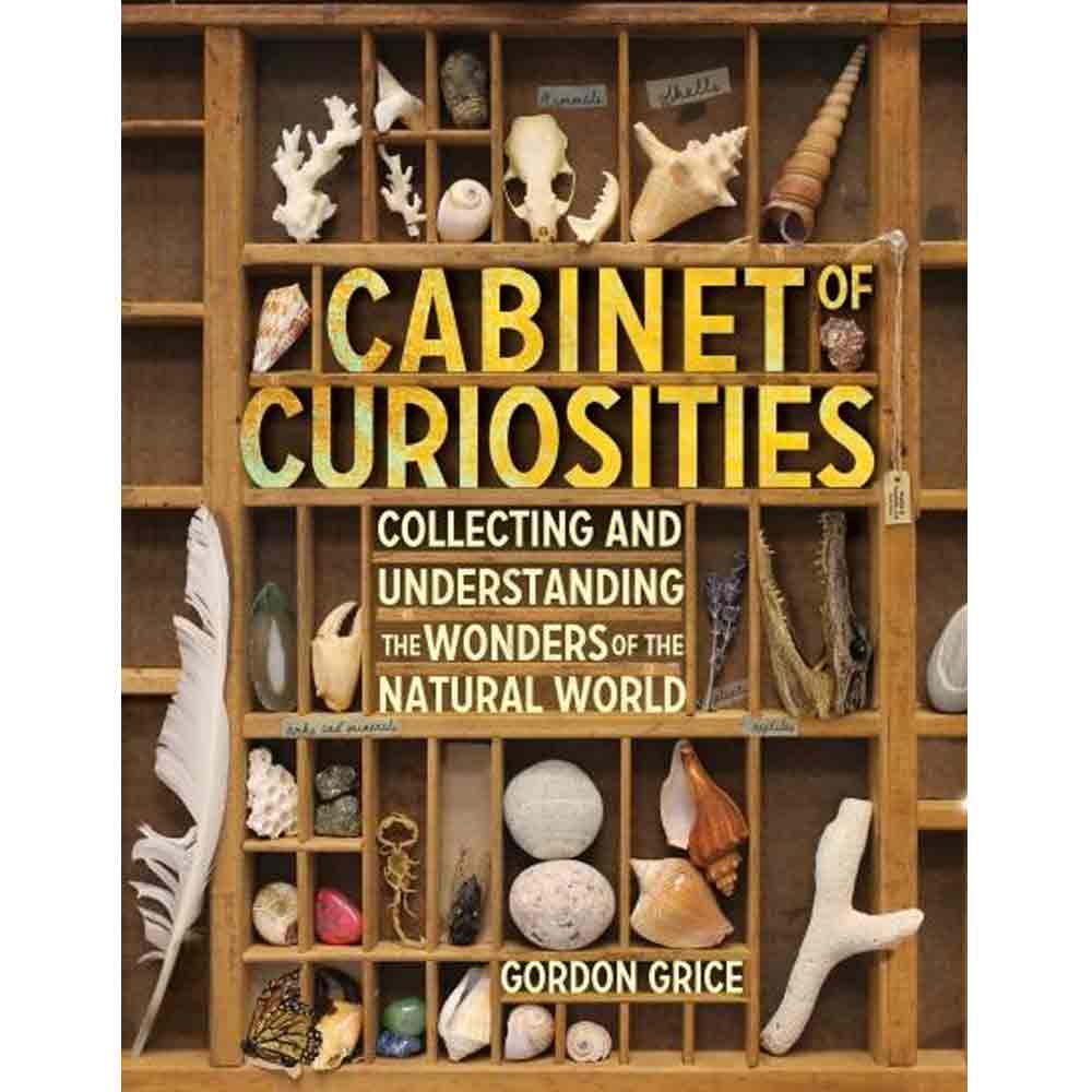 Cabinet of Curiosities