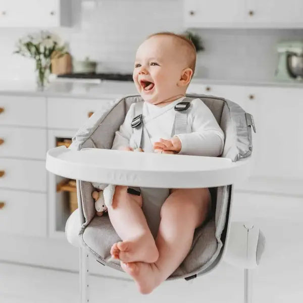 Up & Down High Chair with Cushion