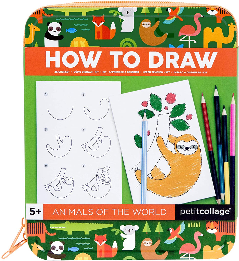 How to draw animals of the world kit